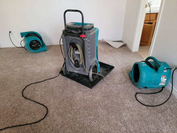 Best Mold removal after water damage  in Sparta, NC