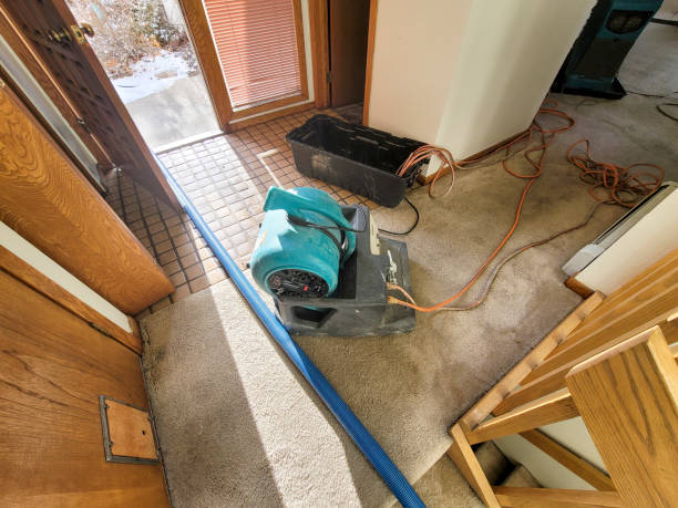  Sparta, NC Water damage restoration Pros