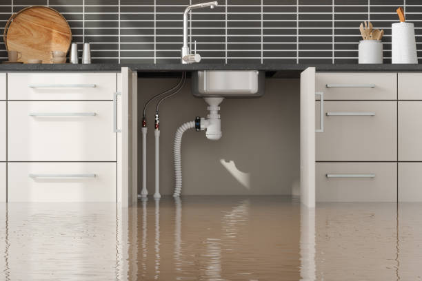 Best Commercial water damage restoration  in Sparta, NC