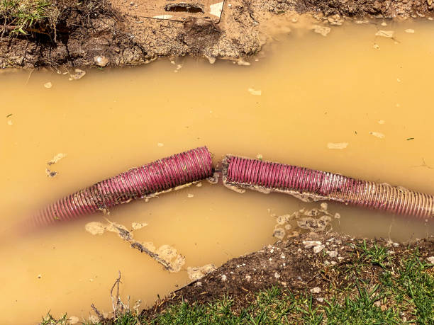 Best Water damage restoration company  in Sparta, NC